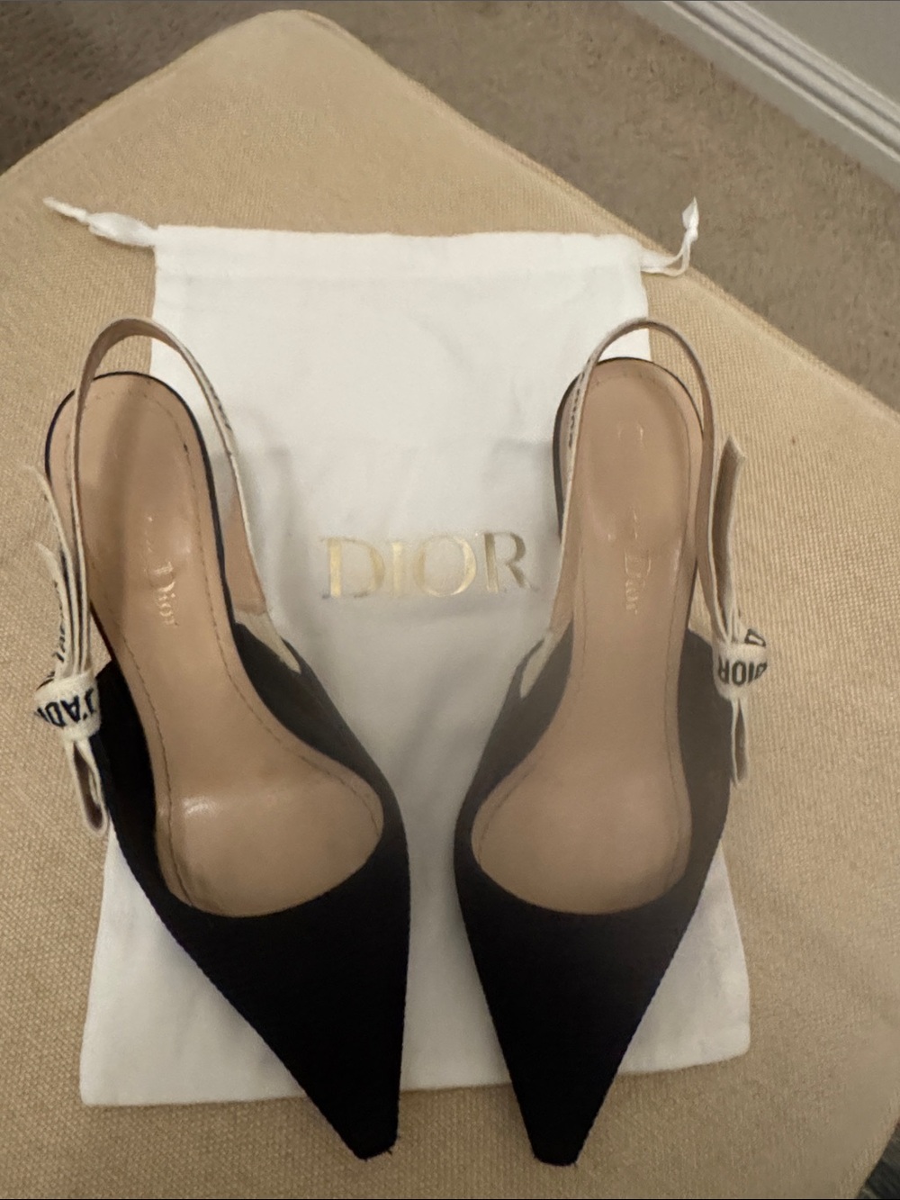Dior Black Pointed-Toe Slingback Pumps with Branded Strap
